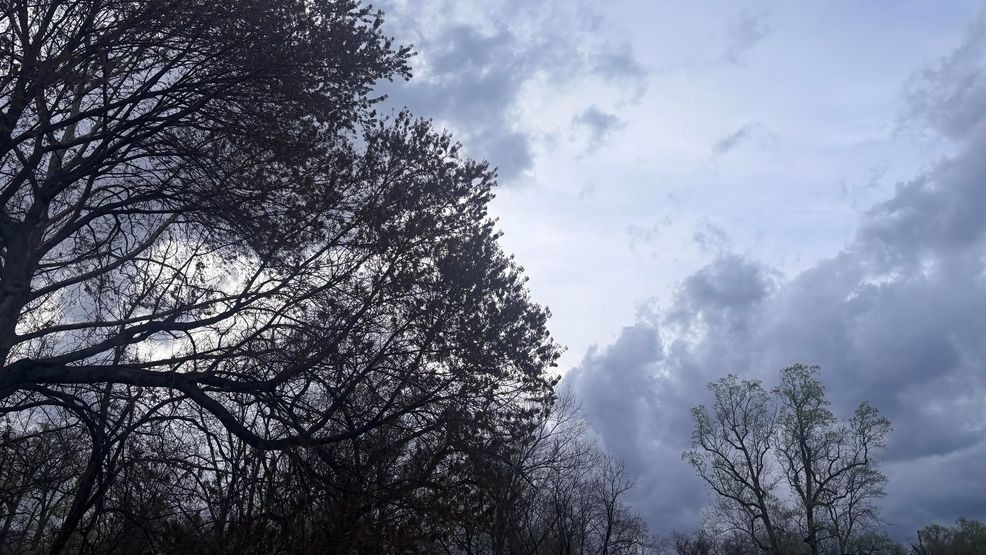 Image for story: DC Weather: Cool temps continue Thursday with highs in the 50s, shower chances possible