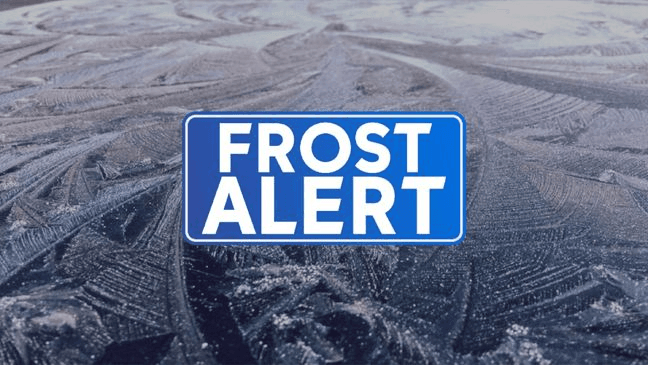 FROST ALERT image